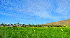 پشت بنگه/ تصاویری زیبا از طبیعت فاریاب