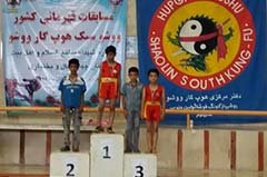درخشش چشمگیر تیم ووشوی شهر بوشکان در مسابقات کشوری