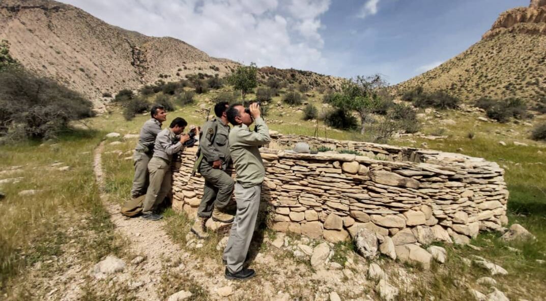تنگ ارم استان بوشهر منطقه شکار ممنوع شد