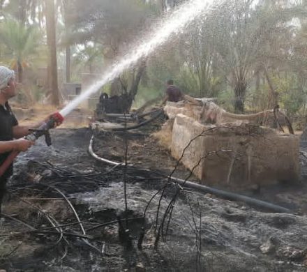 آتش‌سوزی در نخلستان پشت بیدستان فاریاب + عکس