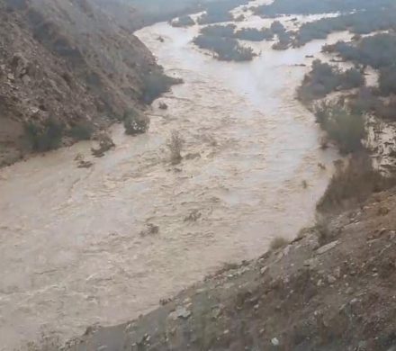 آیا از زمین خواری رودخانه در شهر کلمه دشتستان جلوگیری می شود ؟