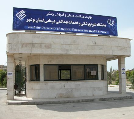روابط عمومی دانشگاه علوم پزشکی بوشهر: پزشک مرکز خدمات جامع سلامت طلحه از هفتم فروردین مستقر می شود!